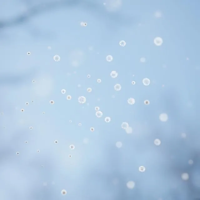 Pollen floating in the air during spring allergy season.